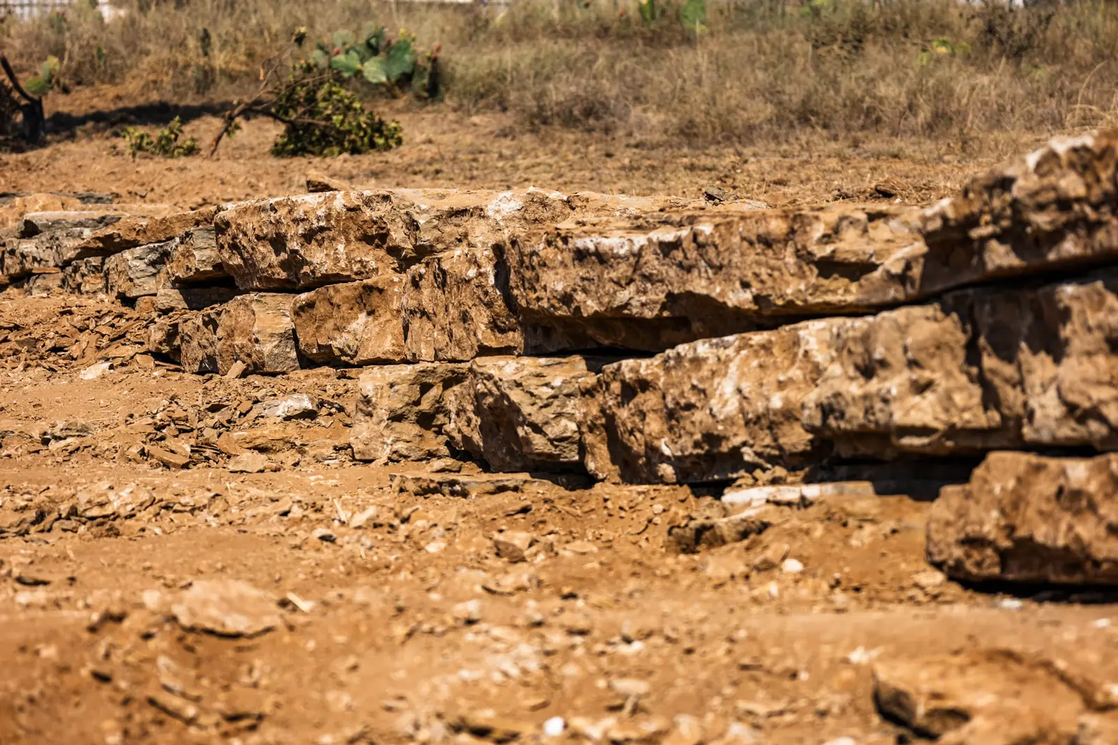 Limestone ledges exposed by excavation